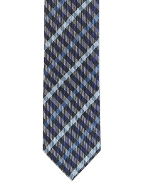 Louis Philippe Men Blue Checked Broad Tie