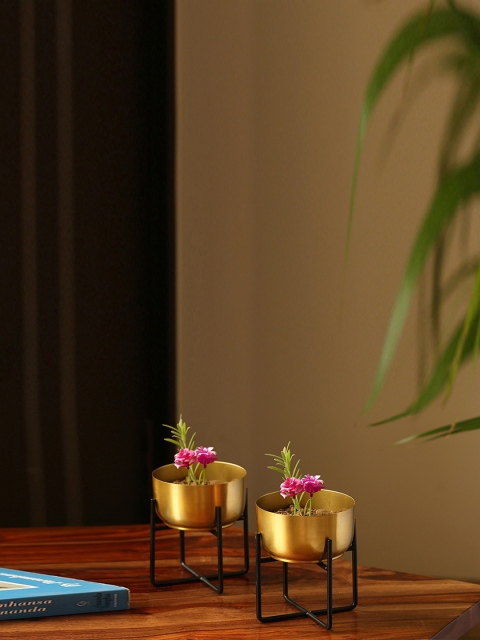 The Golden Bowls' Table Planter Pots With Crossed Stands In Iron (5.2 Inch, Set of 2), Gold
The Golden Bowls' Table Planter Pots With Crossed Stands In Iron (5.2 Inch, Set of 2), Gold