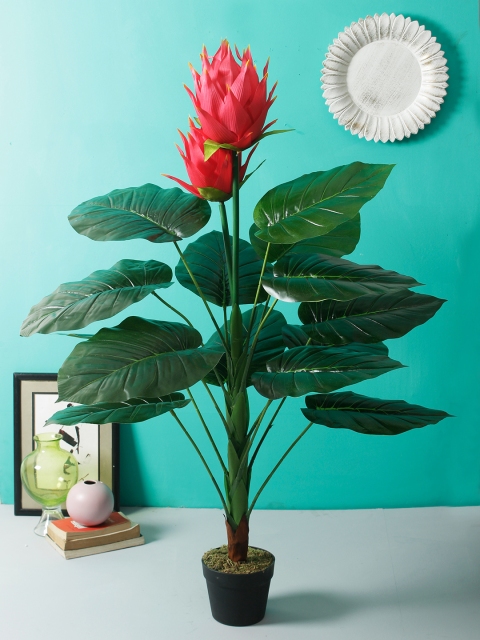 Aesthetic Home Solutions Red & Green Artificial Calla Lilly Faux Plant With Black Pot
Aesthetic Home Solutions Red & Green Artificial Calla Lilly Faux Plant With Black Pot