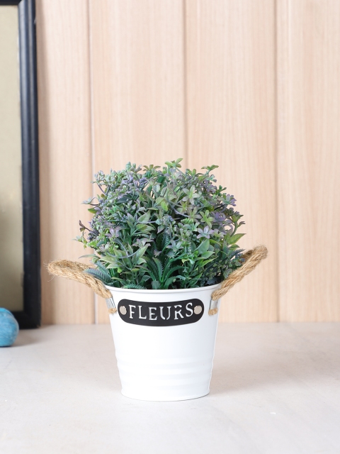 TAYHAA Green & Purple Pristine & Awe-struck Indoor Decorative Artificial Plant With Pot
TAYHAA Green & Purple Pristine & Awe-struck Indoor Decorative Artificial Plant With Pot