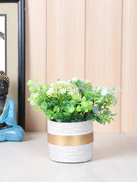 TAYHAA Green & White Verdant & Colourful Leafy House Artificial Plant With Pot
TAYHAA Green & White Verdant & Colourful Leafy House Artificial Plant With Pot