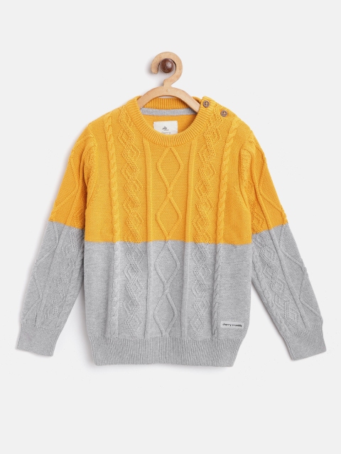 Cherry Crumble Kids Mustard Yellow & Grey Colourblocked Pullover with Cable Knitted Detail
Cherry Crumble Kids Mustard Yellow & Grey Colourblocked Pullover with Cable Knitted Detail