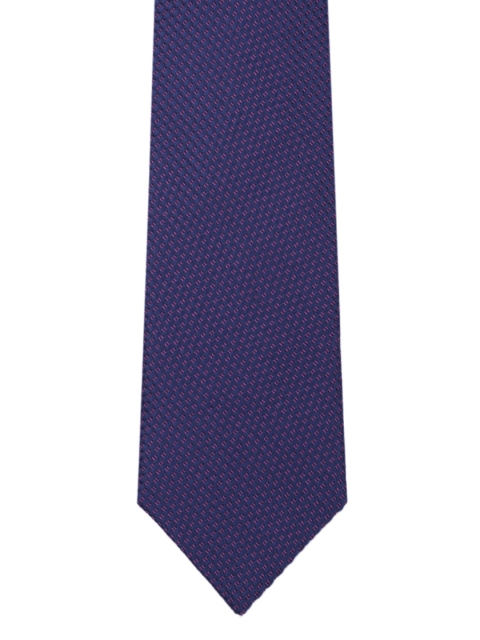 Park Avenue Men Blue Woven Design Broad Tie