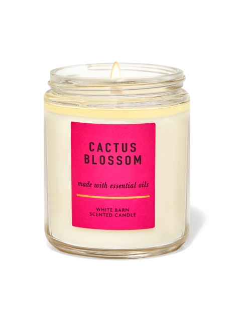 Bath & Body Works Cactus Blossom White Barn Scented Single Wick Candle 198g, Beige
Bath & Body Works Cactus Blossom White Barn Scented Single Wick Candle 198g, Beige