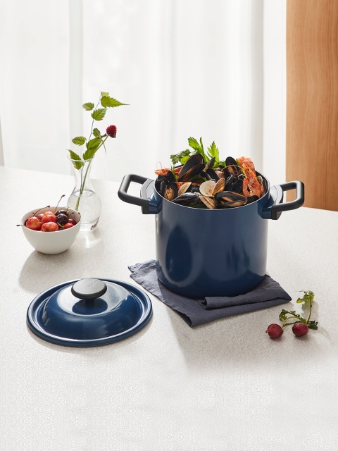 Lock & Lock Navy Blue Decore Stock Pot with Lid 5 Litres