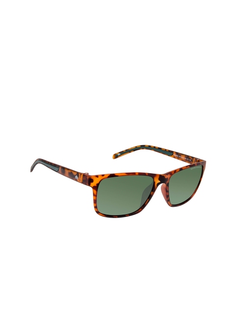 David Blake Unisex Green Lens & Brown Wayfarer Sunglasses with Polarised and UV Protected Lens
David Blake Unisex Green Lens & Brown Wayfarer Sunglasses with Polarised and UV Protected Lens