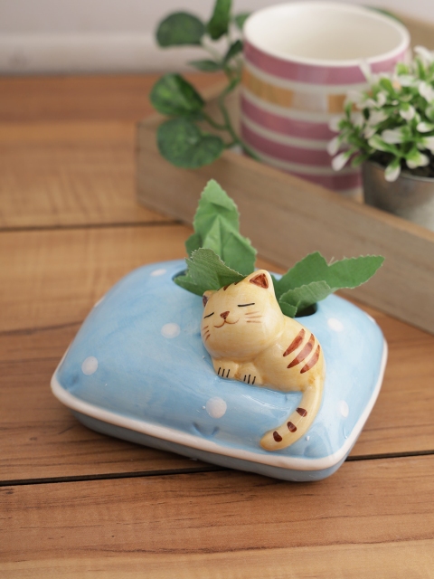 TAYHAA Blue & Green Ceramic Planter