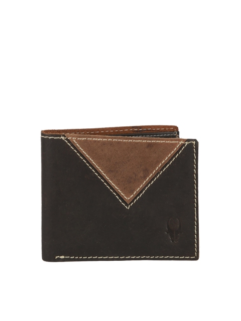 WildHorn Men Brown Genuine Leather Wallet