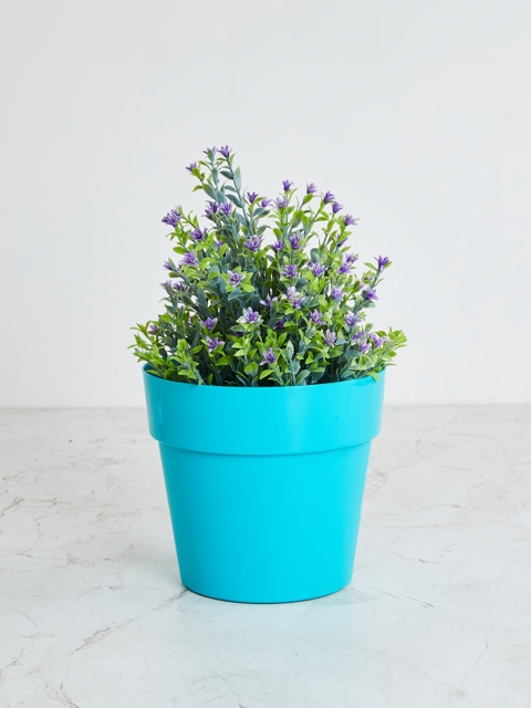 Home Centre Teal Solid Plastic Planter