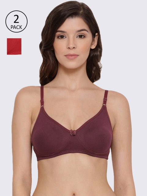 LYRA Pack of 2 Red & Burgundy T-shirt Bra