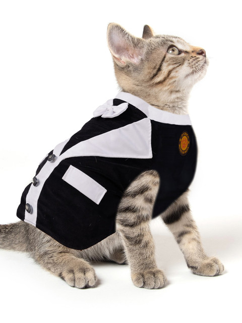 Dchica Paws Black & White Solid Cat Jackets
Dchica Paws Black & White Solid Cat Jackets