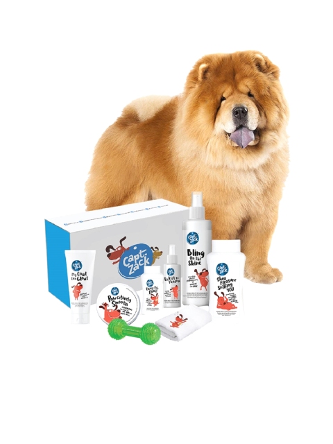 Captain Zack The Chow Chow Groom Box Ultimate 8-in-1 Head-to-Paw Groom-Kit, White
Captain Zack The Chow Chow Groom Box Ultimate 8-in-1 Head-to-Paw Groom-Kit, White