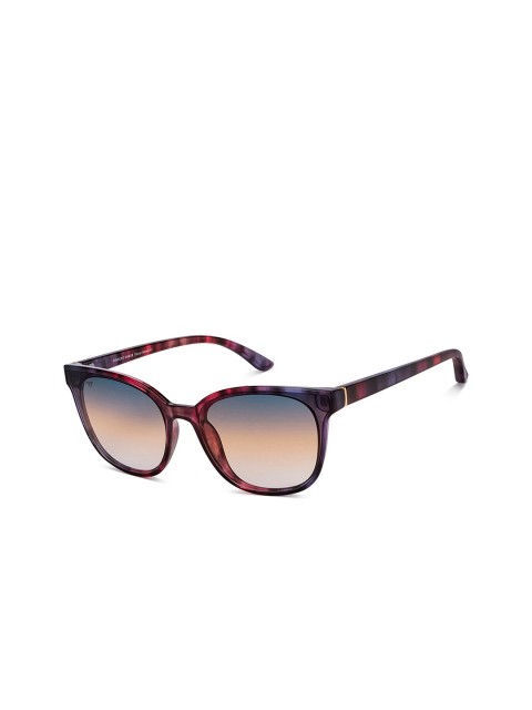 Vincent Chase Women Brown Lens & Blue Cateye Sunglasses with UV Protected Lens 151143
Vincent Chase Women Brown Lens & Blue Cateye Sunglasses with UV Protected Lens 151143