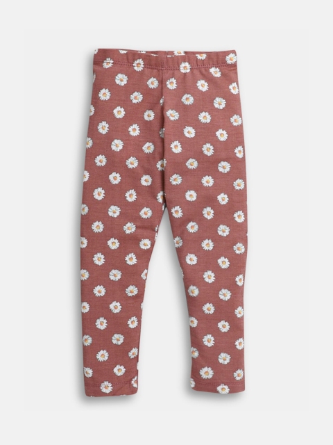 Hopscotch Girls Brown Printed Leggings