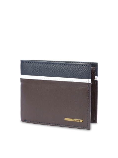 Allen Solly Men Brown & Navy Blue Colourblocked Leather Two Fold Wallet