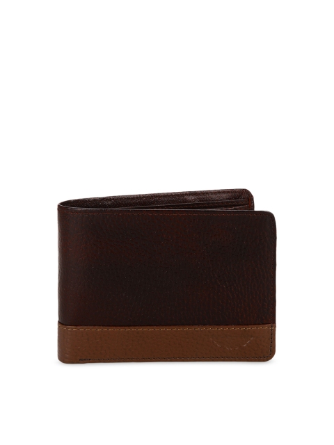 Red Tape Men Brown Colourblocked Card Holder