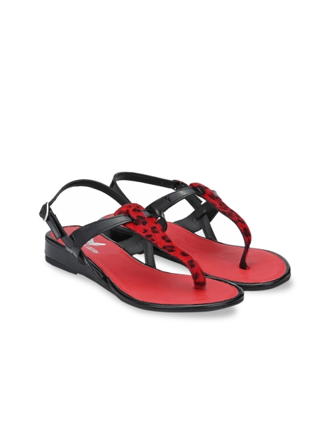 AADY AUSTIN Women Black & Red Printed Leather Heels