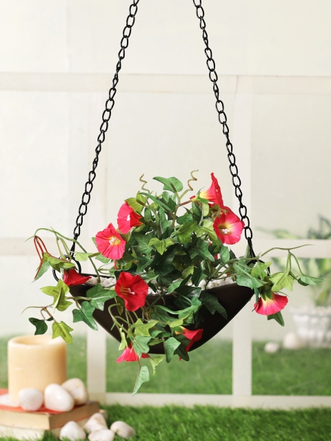 TAYHAA Green & Red Artificial Morning Glory Vibrant flowers With Hanging Pot Basket
TAYHAA Green & Red Artificial Morning Glory Vibrant flowers With Hanging Pot Basket