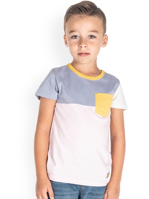 Cherry Crumble Boys Pink Colourblocked Round Neck T-shirt