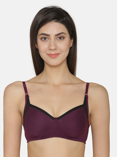 ABELINO Purple Solid Non-Wired Non Padded T-shirt Bra 5121PURPLE01