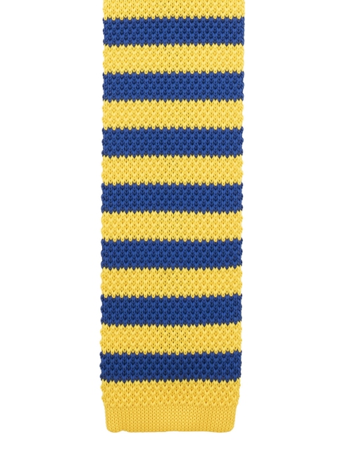 The Tie Hub Yellow & Blue Striped Skinny Tie