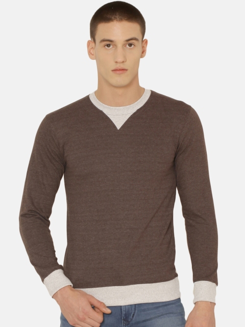 ARISE Men Brown & Beige Solid Sweatshirt
