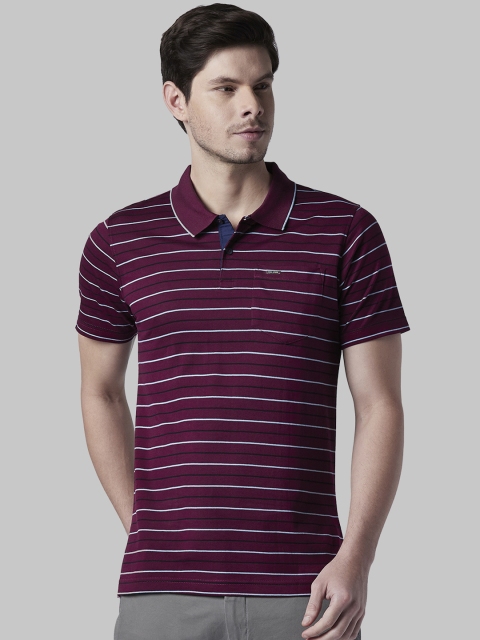 Park Avenue Men Violet Striped Polo Collar T-shirt