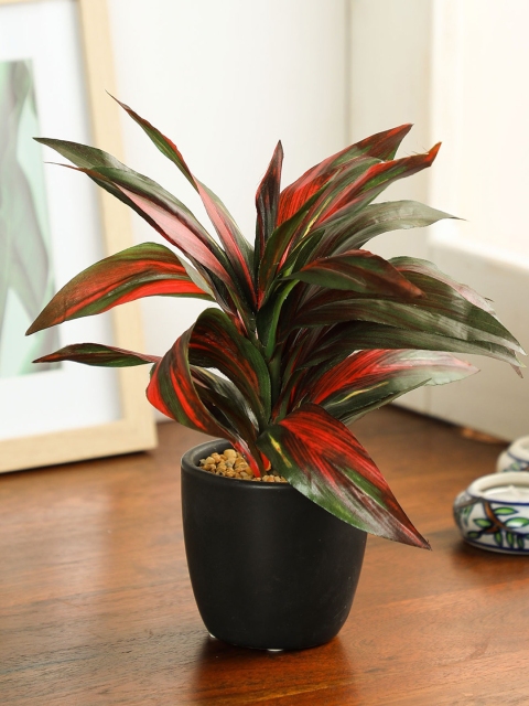 PolliNation Red Artificial Dracaena Bonsai With Ceramic Pot