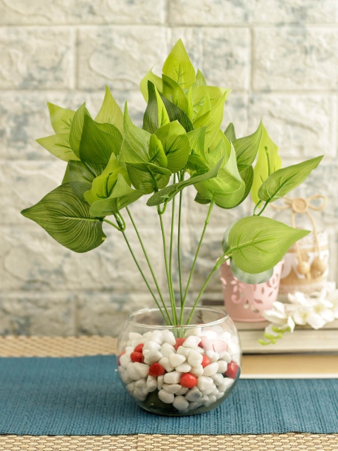 TIED RIBBONS Green Tropical Artificial Plant Tree with Glass Vase & Multicolor Stones, Multi
TIED RIBBONS Green Tropical Artificial Plant Tree with Glass Vase & Multicolor Stones, Multi