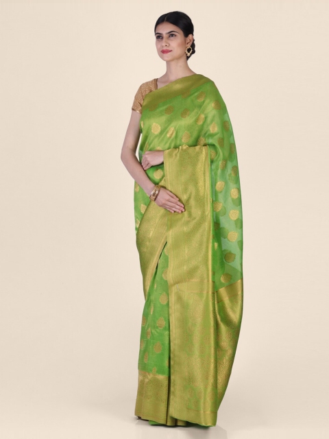 Hastakala Green & Gold-Toned Pashmina Handloom Woven Design Saree