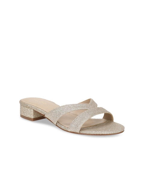 ALDO Women Silver-Toned Solid Sandals