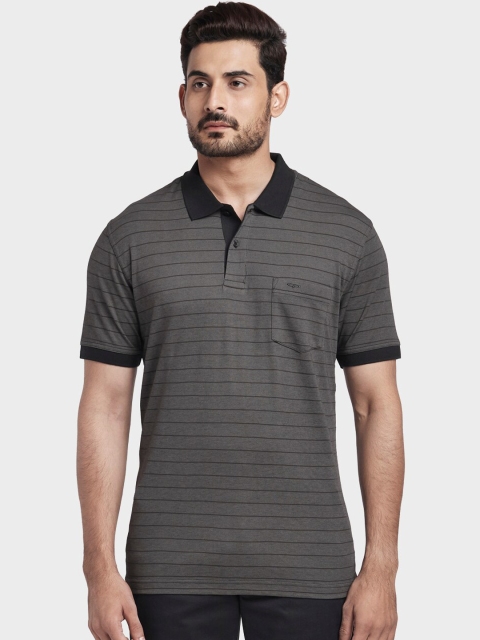 ColorPlus Men Grey & Brown Striped Polo Collar T-shirt