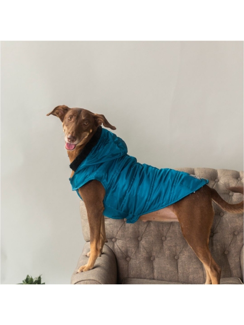 Heads Up For Tails Blue Dog Bomber Hoodies Jacket