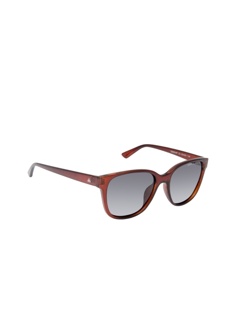 David Blake Unisex Wayfarer Polarised and UV Protected Sunglasses SGDB2052x8004PC5, Brown