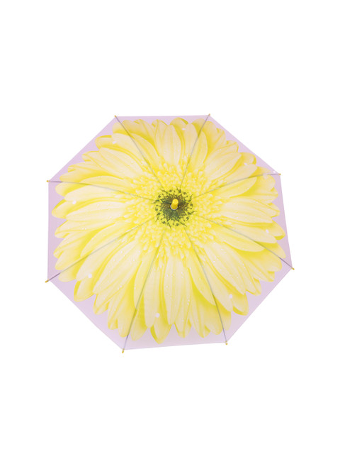 FabSeasons Kids Yellow & Green Fancy Digital Printed Single Fold Stick Umbrella
FabSeasons Kids Yellow & Green Fancy Digital Printed Single Fold Stick Umbrella