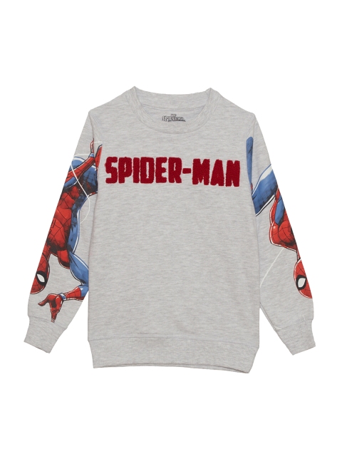 Kids Ville Boys Grey & Red Spiderman Embroidered Sweatshirt