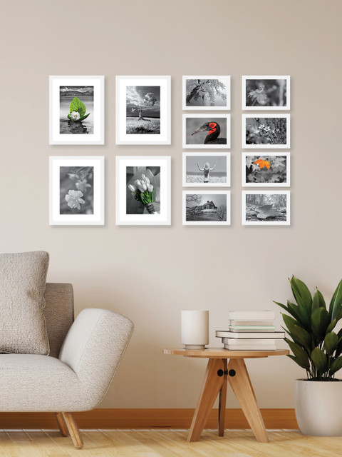RANDOM Set Of 12 White Solid Collage Photo Frames 
RANDOM Set Of 12 White Solid Collage Photo Frames