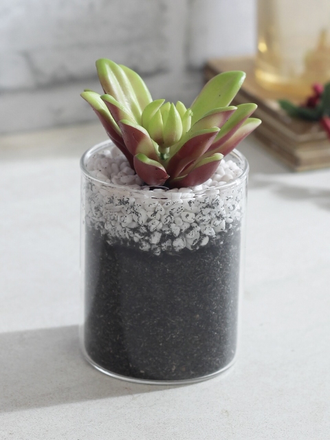 TAYHAA Green & Maroon Artificial Bonsai Plant With Transparent Pot