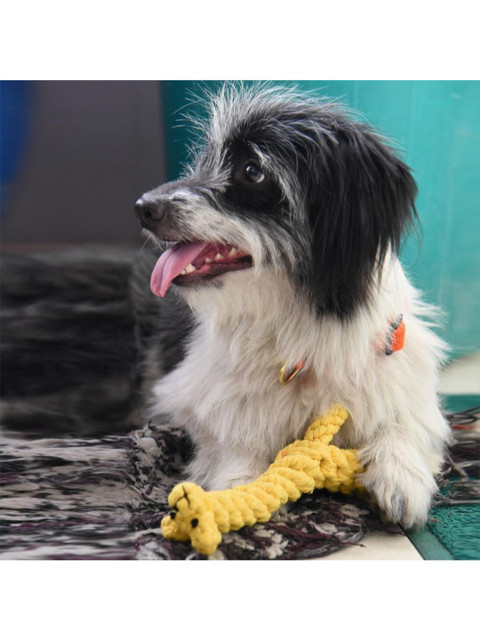 Heads Up For Tails HUFT Jim The Giraffe Rope Dog Toy, Yellow 
Heads Up For Tails HUFT Jim The Giraffe Rope Dog Toy, Yellow