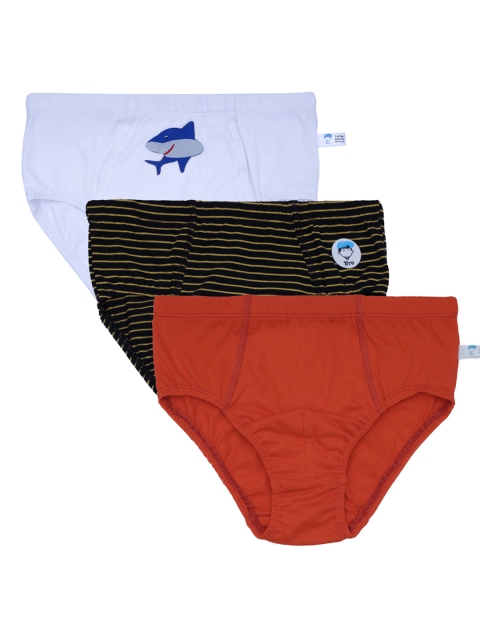 DChica Boys Pack Of 3 Assorted Basic Briefs DCBFFB6509/8-9