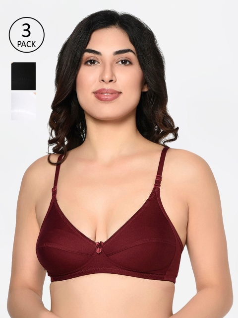 Bodycare Pack Of 3 White & Maroon Solid Non-Wired Non Padded Everyday Bra 1567BMHW
