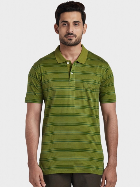 ColorPlus Men Green Striped Polo Collar T-shirt