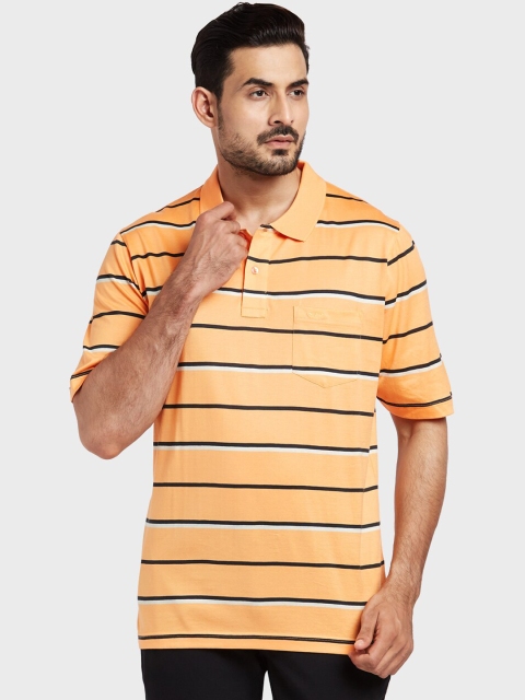 ColorPlus Men Yellow Striped Polo Collar T-shirt