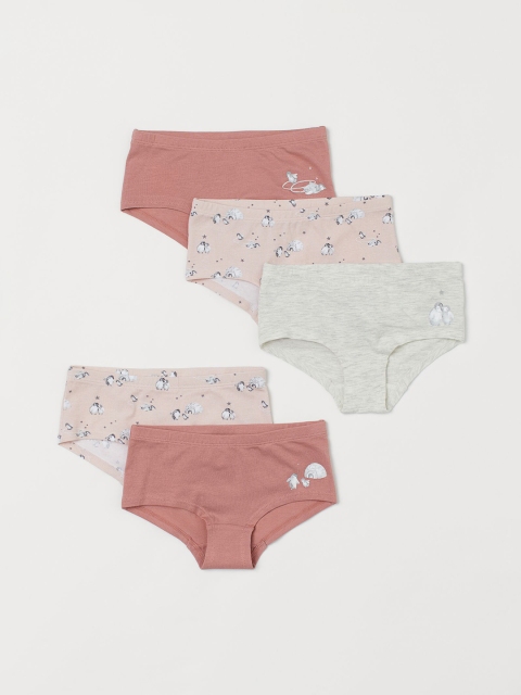 H&M 5-Pack Hipster Briefs, Multi
