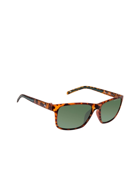 David Blake Unisex Polarised & UV Protected Rectangle Sunglasses N_SGDB1590, Brown