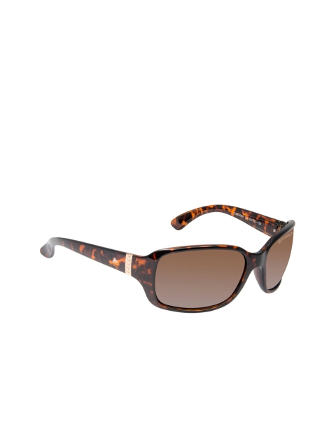 David Blake Women UV Protected Sports Sunglasses N_SGDB2063, Brown