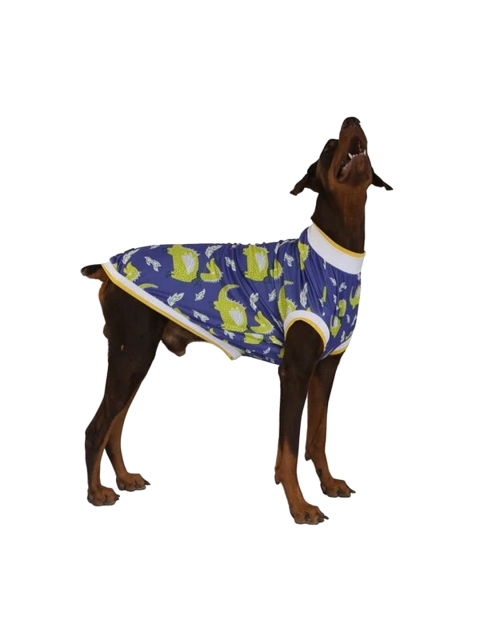 Pawsindia Blue & Yellow Printed Dog T-Shirt