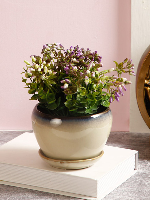 Aapno Rajasthan Beige & Black Solid Ceramic Pot
Aapno Rajasthan Beige & Black Solid Ceramic Pot