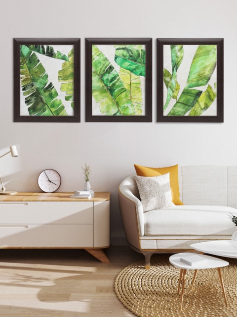 Indianara Set Of 3 White & Green Banana Leaves Printed Framed Art Prints Without Glass
Indianara Set Of 3 White & Green Banana Leaves Printed Framed Art Prints Without Glass