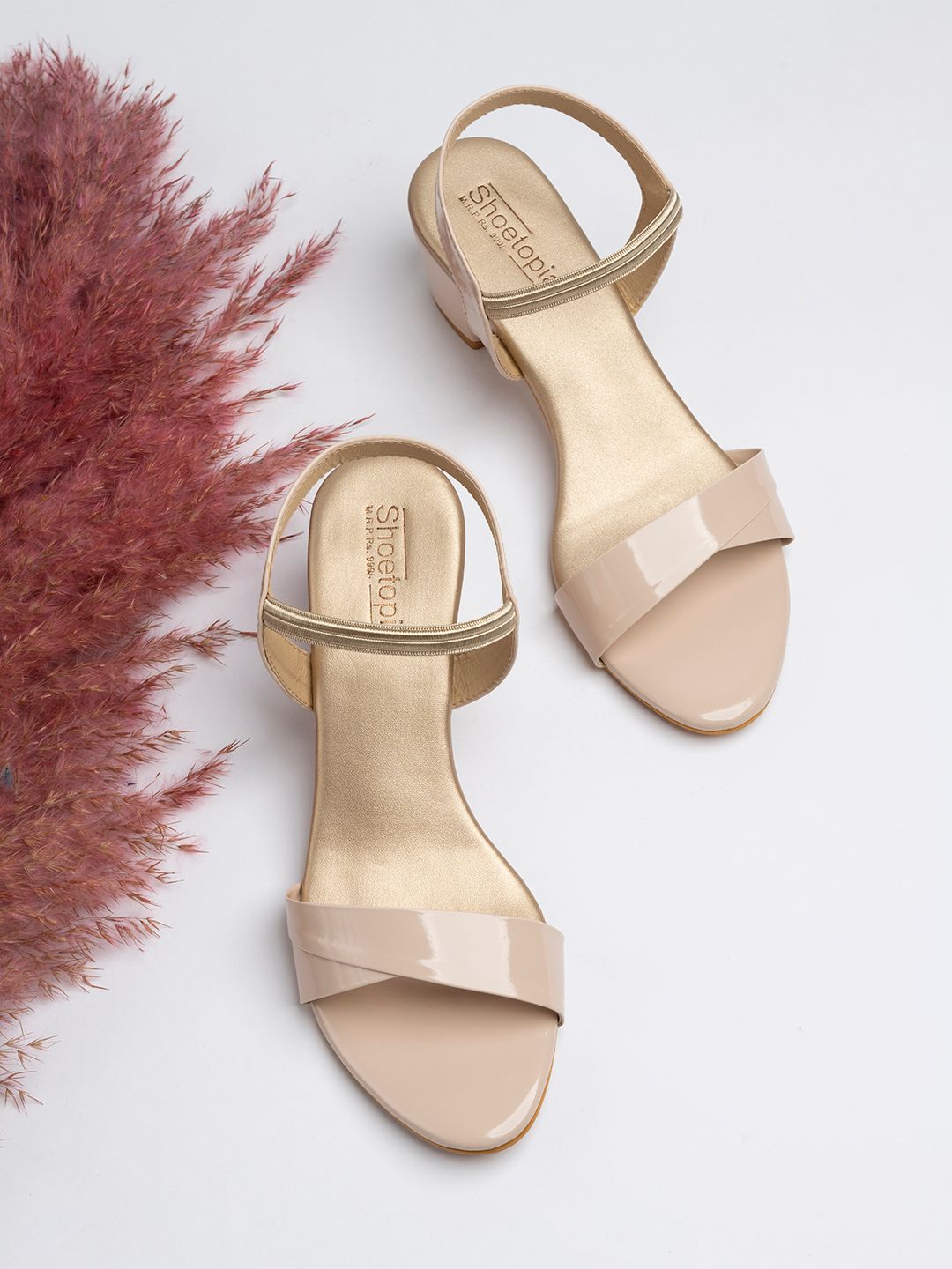 Shoetopia Women Cream-Coloured Solid Heels-picture-46